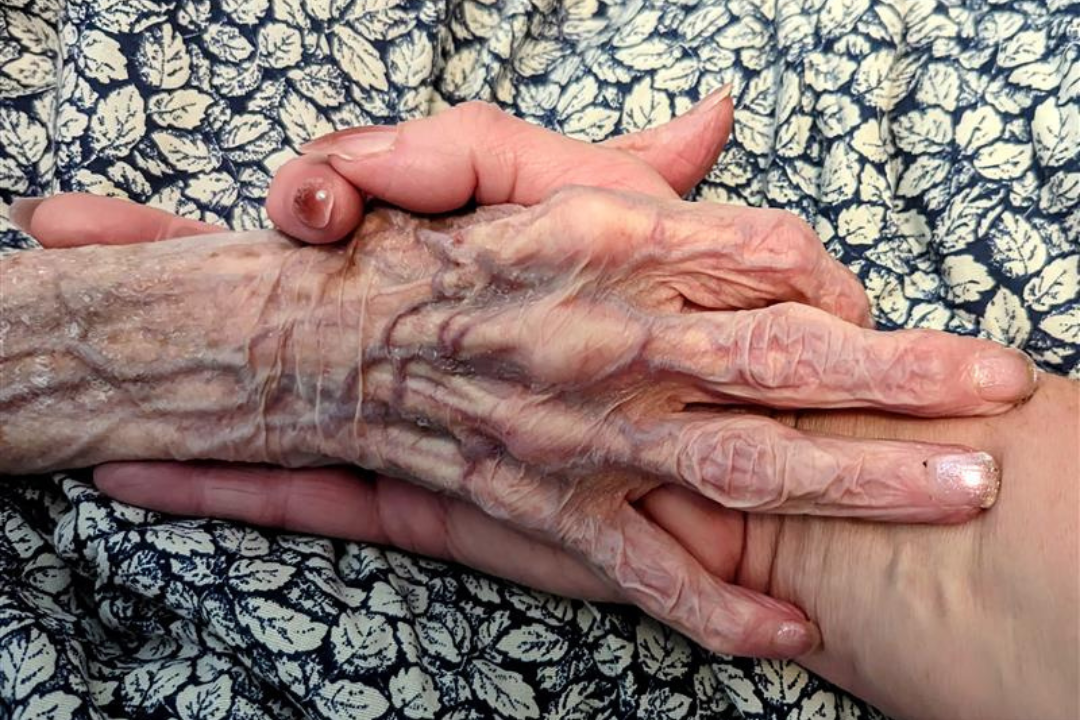BC Seniors' Week 2025